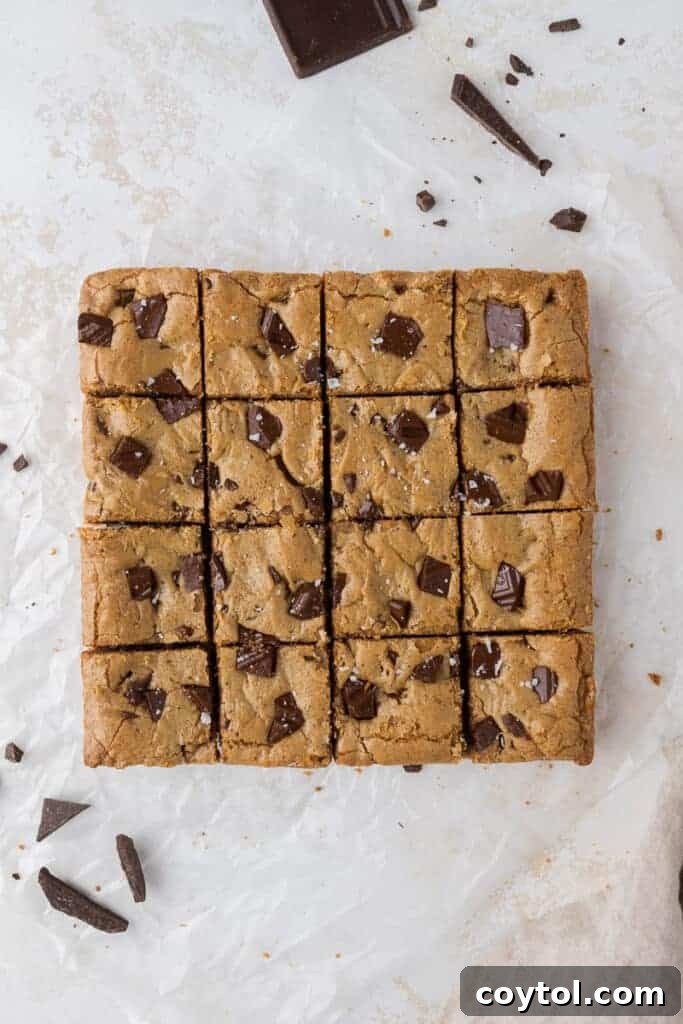 Irresistible Brown Butter Chocolate Chip Blondies 13 freshly sliced brown butter blondies