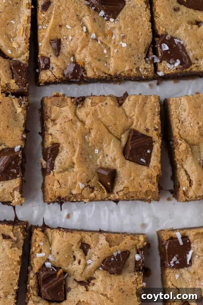 Irresistible Brown Butter Chocolate Chip Blondies 15 crackly shiny crust on blondies close-up