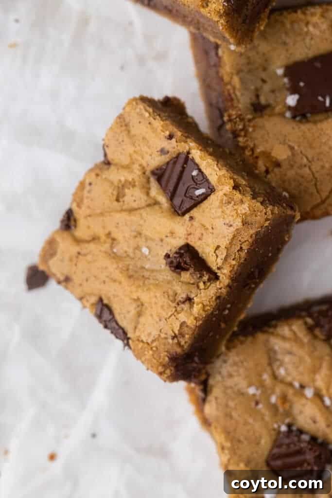 Irresistible Brown Butter Chocolate Chip Blondies 16 chocolate chunks brown butter blondies cut into squares