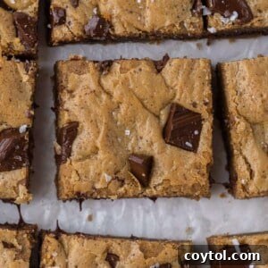 Irresistible Brown Butter Chocolate Chip Blondies 17 crackly shiny crust blondies