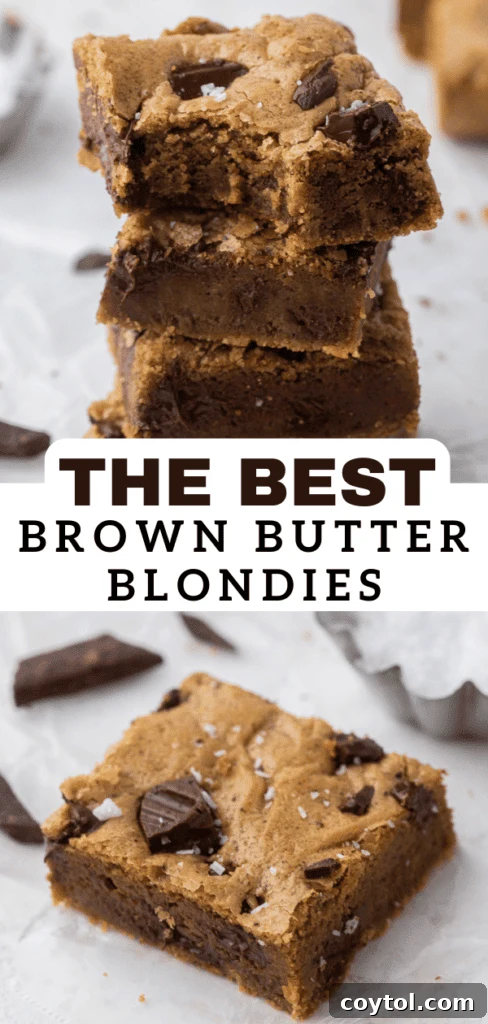 Irresistible Brown Butter Chocolate Chip Blondies 19 Brown butter blondies recipe pin image
