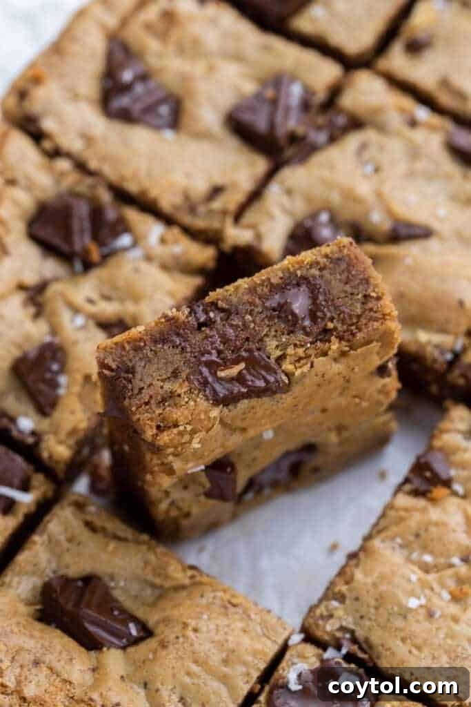Irresistible Brown Butter Chocolate Chip Blondies 3 Inside of a blondie bar, revealing a dense, fudgy texture with melted chocolate chips