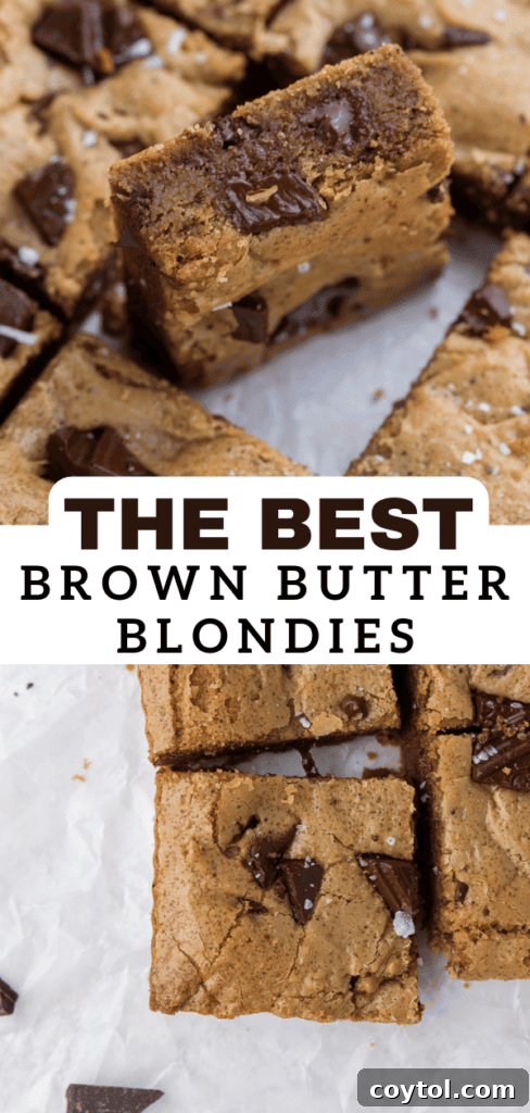 Irresistible Brown Butter Chocolate Chip Blondies 20 Brown butter blondies recipe for Pinterest