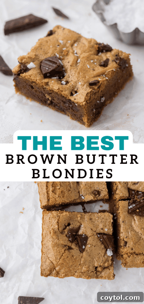 Irresistible Brown Butter Chocolate Chip Blondies 21 Best brown butter blondies recipe