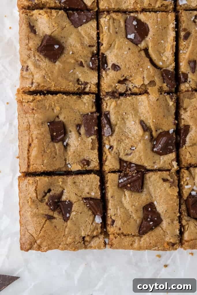 Irresistible Brown Butter Chocolate Chip Blondies 5 Overhead close-up shot of baked blondies with a perfect crackly crust