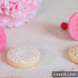 valentine's day shortbread cookies