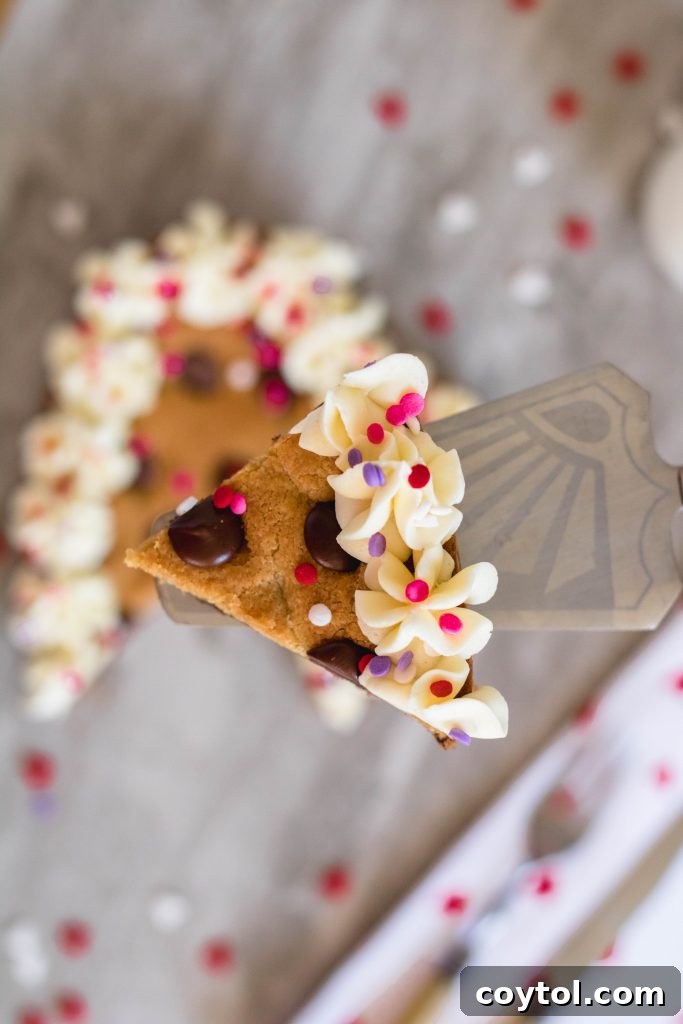 Delicious chocolate chip heart cookie cake dessert for two on a pink background