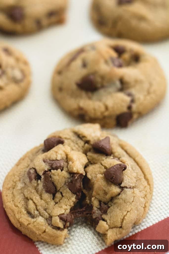 Plate of small batch chocolate chip cookies