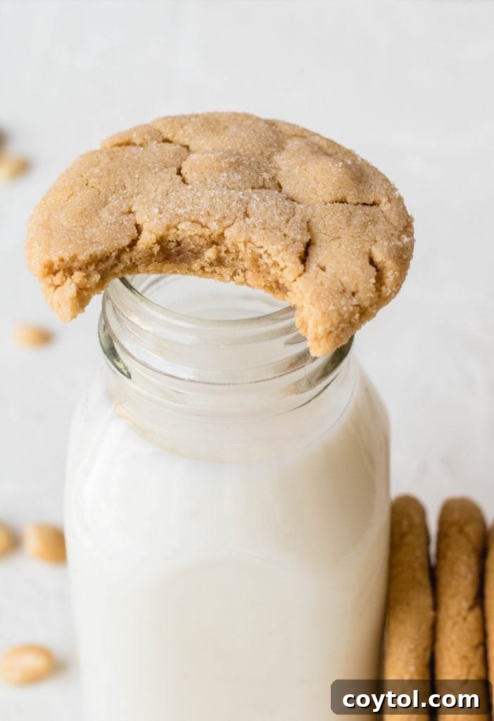 The best peanut butter cookie recipe presented on a white plate