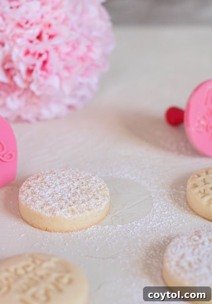 Heart-shaped Valentine's Day shortbread cookies with intricate designs