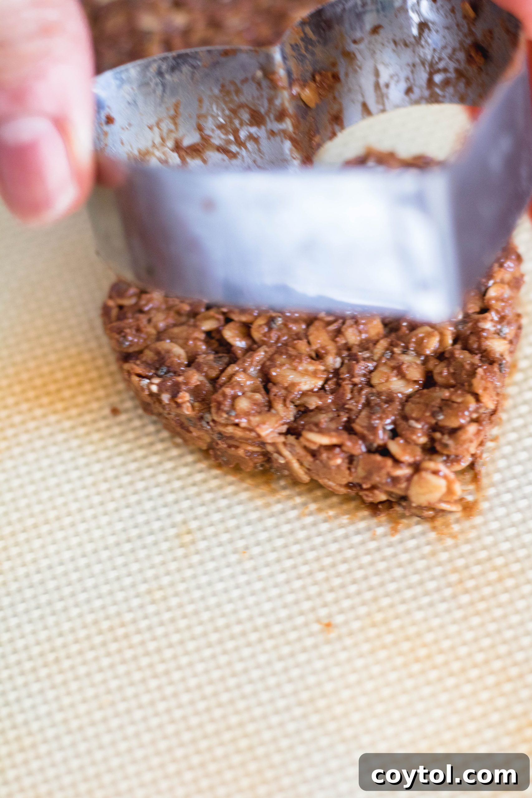 Heart-Healthy No-Bake Valentine's Delights 20 img 6435 20 scaled