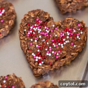 Heart-Healthy No-Bake Valentine's Delights 23 Healthy No Bake Cookies for valentine's day cookie ideas