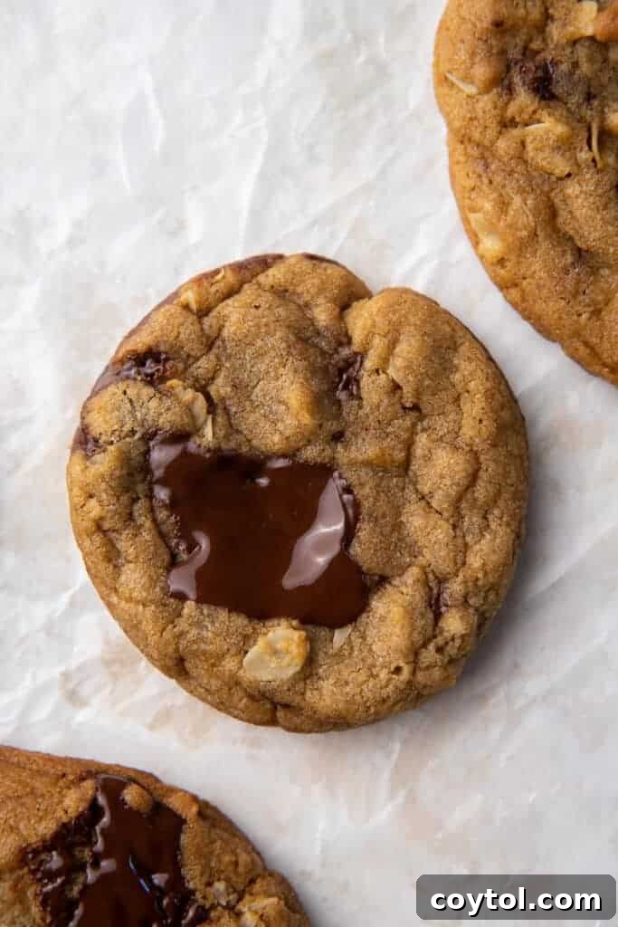 The Ultimate Homemade Chick-fil-A Cookie Clone 11 Mini catering chick-fil-a cookies