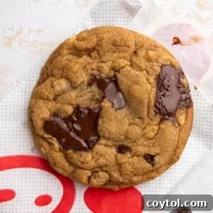 The Ultimate Homemade Chick-fil-A Cookie Clone 13 Chick-Fil-A Cookies