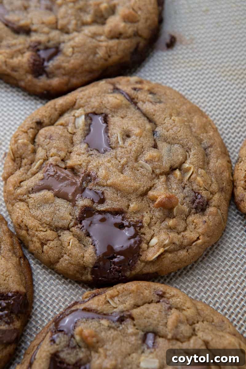 The Ultimate Homemade Chick-fil-A Cookie Clone 10 Chick-Fil-A Cookies