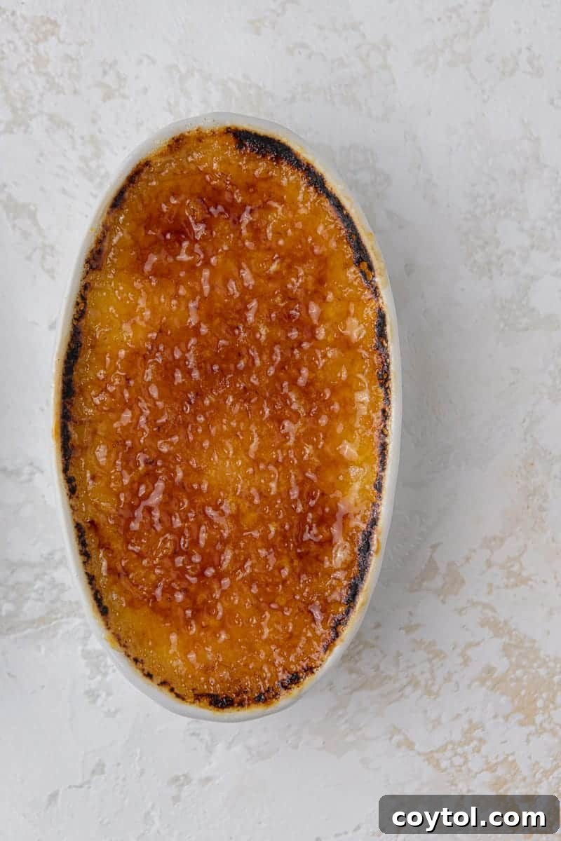 Effortless Indulgence: 3-Ingredient Creme Brulee & Ice Cream 13 An array of 3-ingredient creme brulees, showcasing the uniform golden crust