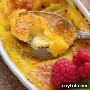 Effortless Indulgence: 3-Ingredient Creme Brulee & Ice Cream 15 Delicious Ice Cream Crème Brûlée with a golden-brown caramelized top