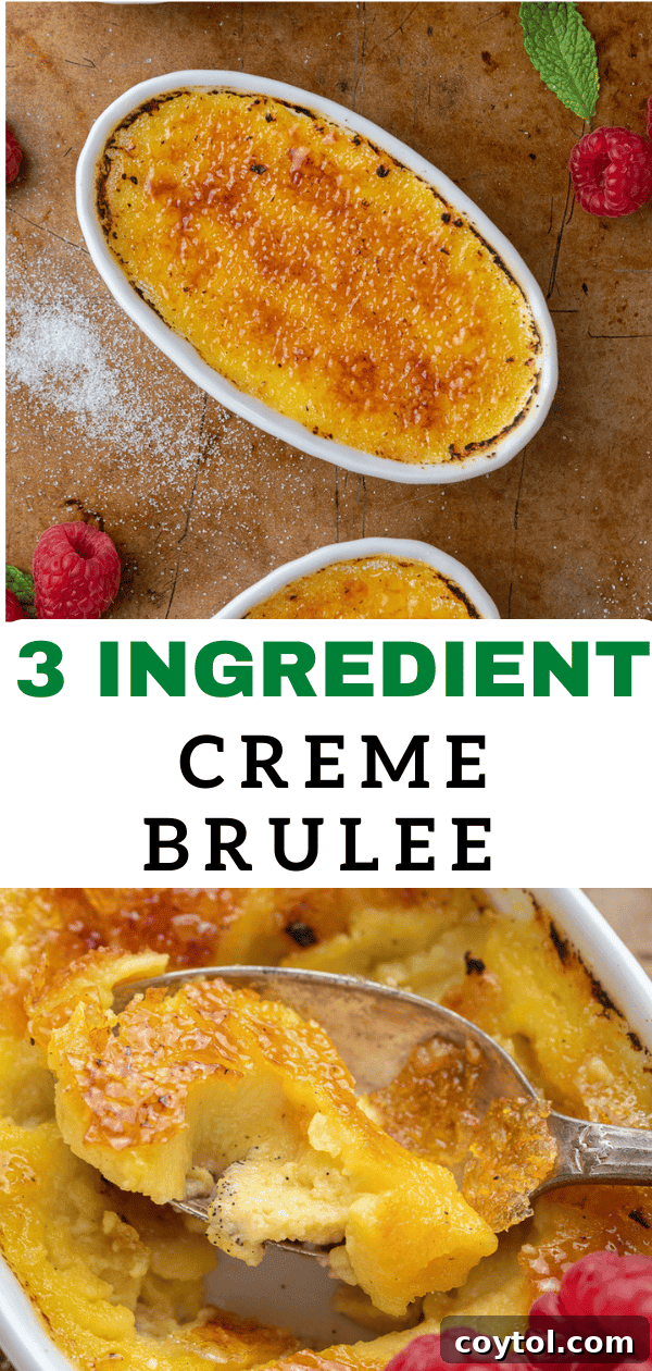 Effortless Indulgence: 3-Ingredient Creme Brulee & Ice Cream 17 Pinterest graphic for easy ice cream creme brulee, highlighting 3 ingredients