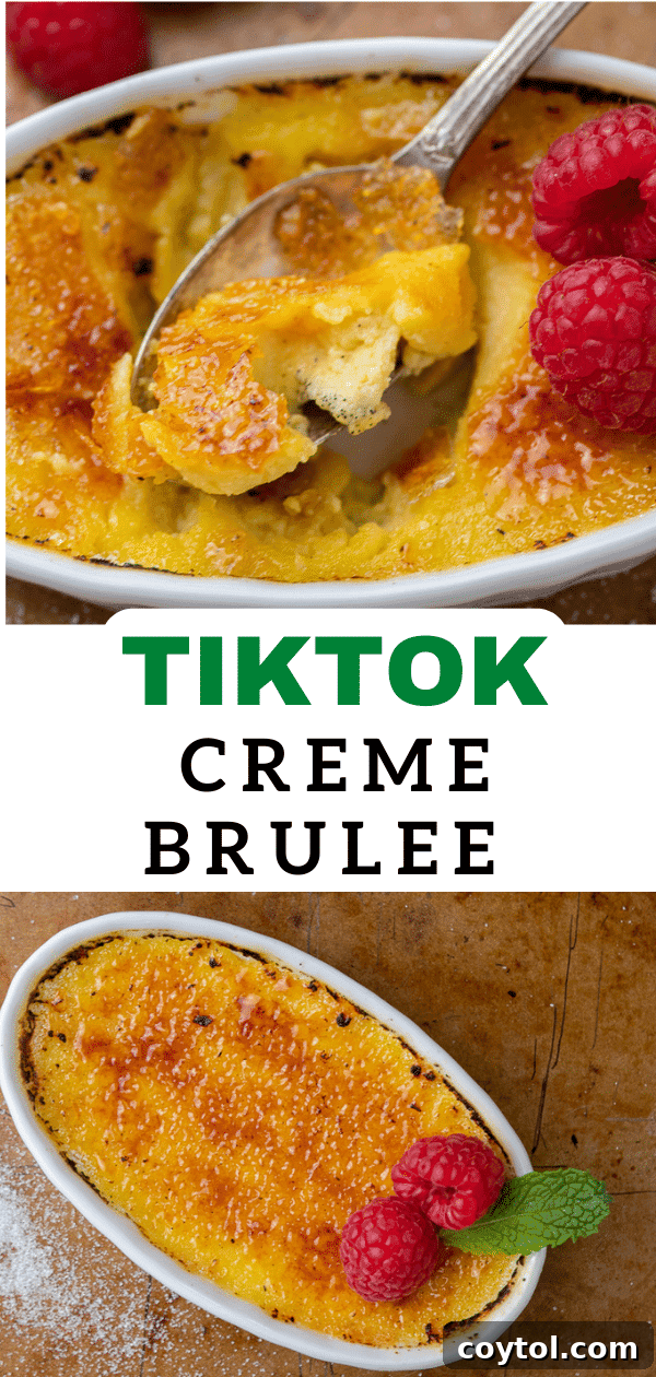 Effortless Indulgence: 3-Ingredient Creme Brulee & Ice Cream 18 Pinterest graphic for TikTok ice cream creme brulee, showing the caramelized top