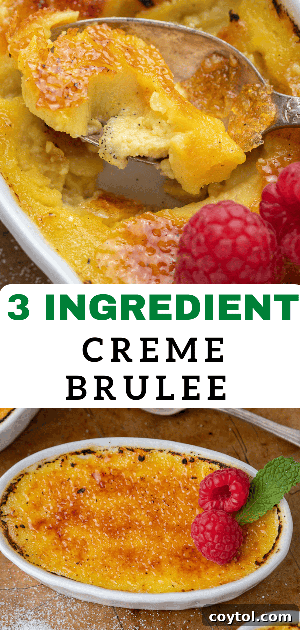 Effortless Indulgence: 3-Ingredient Creme Brulee & Ice Cream 19 Pinterest graphic for simple ice cream creme brulee recipe, perfect for dessert lovers