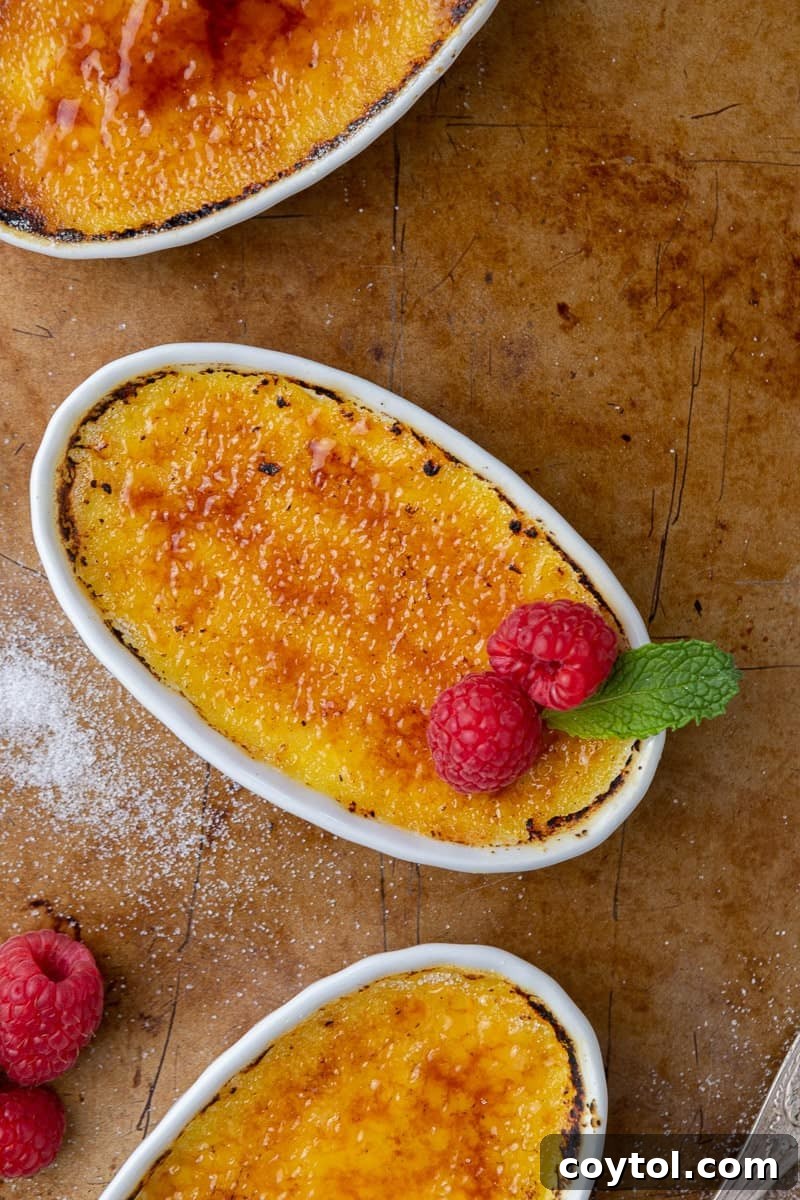 Effortless Indulgence: 3-Ingredient Creme Brulee & Ice Cream 10 A beautifully torched ice cream creme brulee, showcasing its golden-brown sugar topping