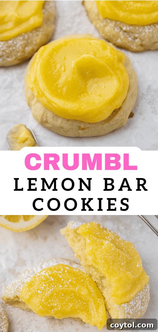Zesty Chilled Lemon Bar Cookies 17 close up of a lemon bar cookie showing the texture