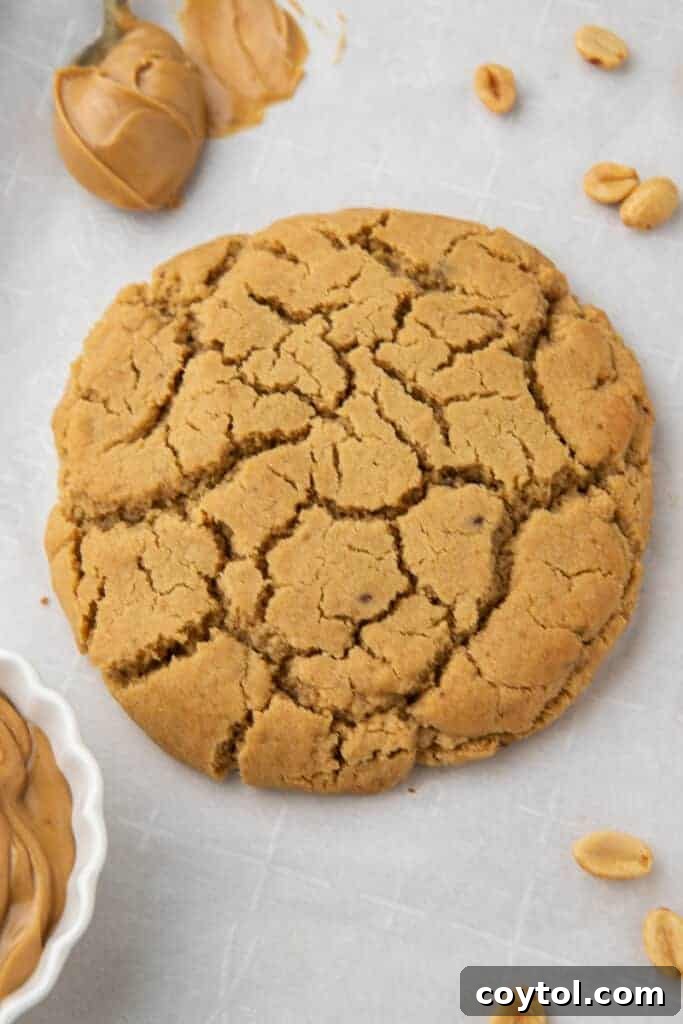 Single serve peanut butter cookie, golden brown and perfectly baked
