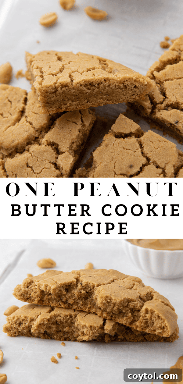 Easy single serve peanut butter cookie, perfect for one