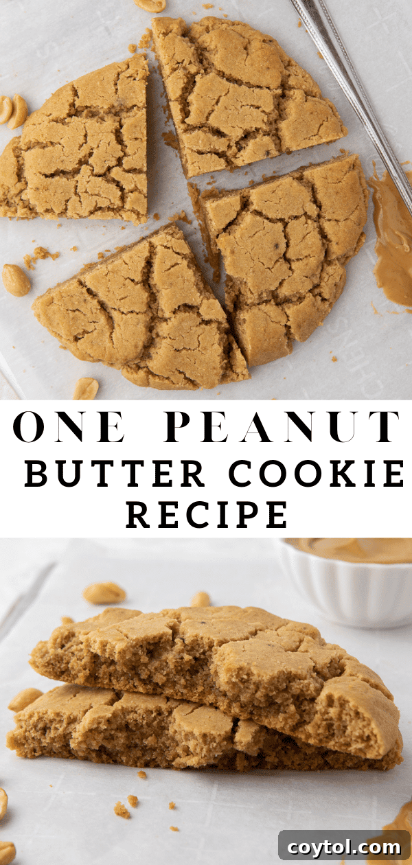 Simple and quick single serving peanut butter cookie