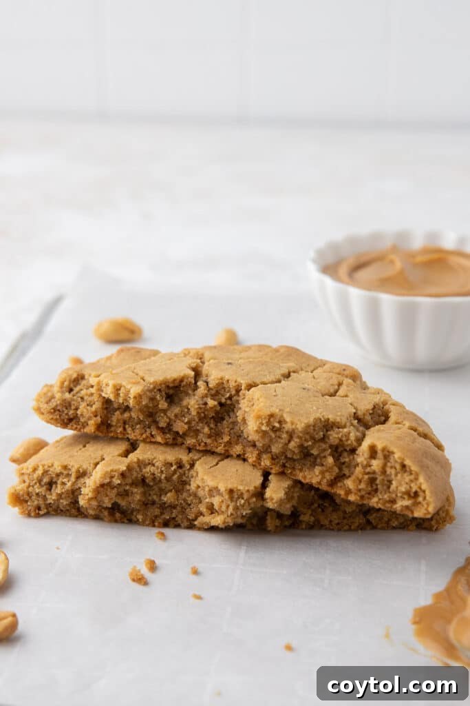One peanut butter cookie broken in half, revealing its soft, chewy texture