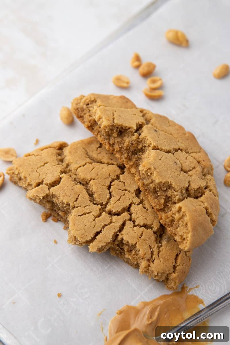 One large peanut butter cookie fresh out of the oven