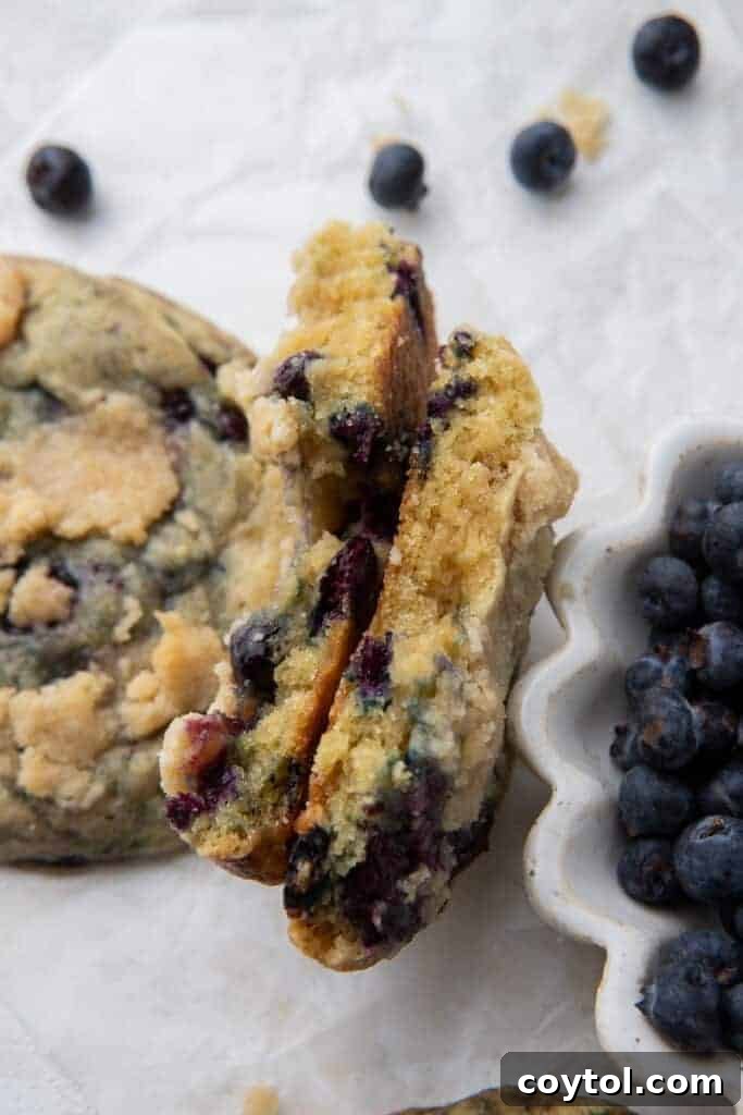 Blueberry Muffin Cookie Bliss: Crumbl-Style with Streusel 2 Delicious Crumbl-style blueberry muffin cookies with a homemade streusel topping