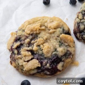 Blueberry Muffin Cookie Bliss: Crumbl-Style with Streusel 14 Blueberry muffin cookies with Streusel -Crumbl copycat