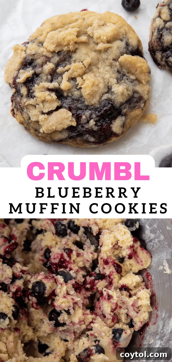 Blueberry Muffin Cookie Bliss: Crumbl-Style with Streusel 17 Pin image for Delicious Blueberry Muffin Cookies with Streusel Topping