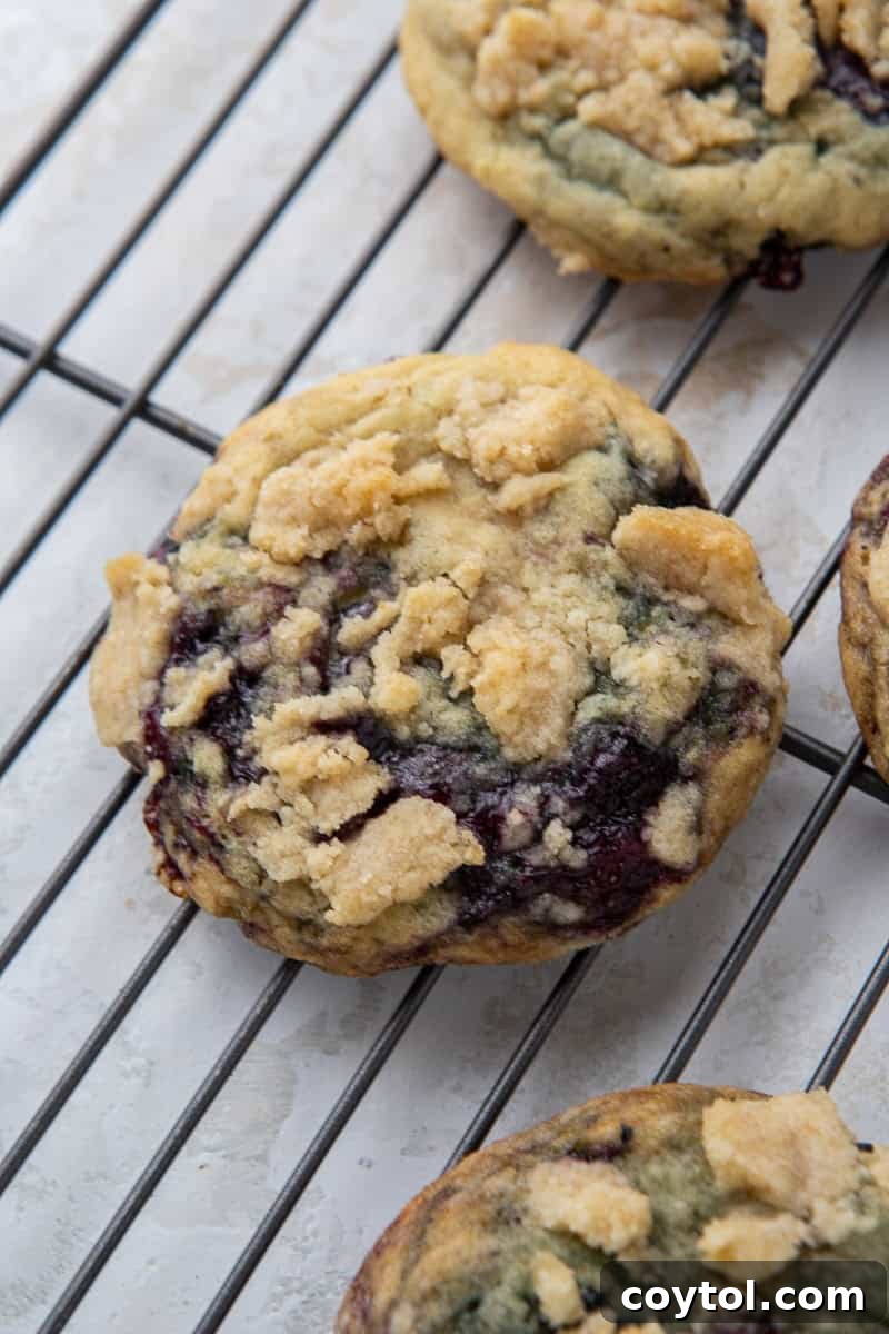 Blueberry Muffin Cookie Bliss: Crumbl-Style with Streusel 10 Baked blueberry muffin cookie with streusel