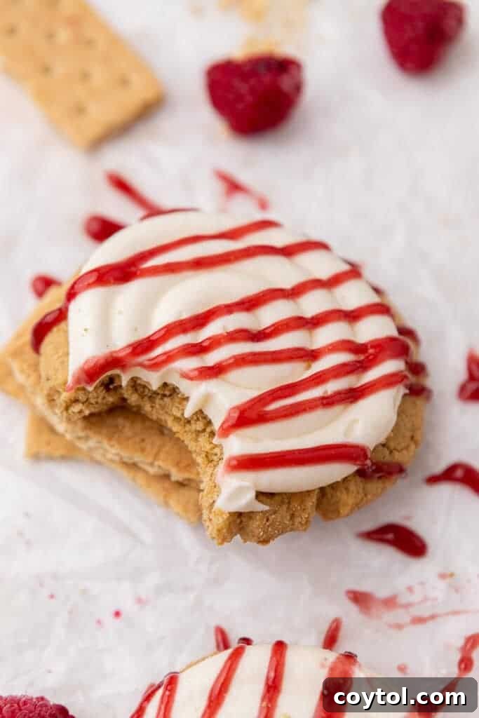 Irresistible Crumbl Raspberry Cheesecake Cookies 3 Close-up of a raspberry cheesecake cookie resting on graham cracker crumbs