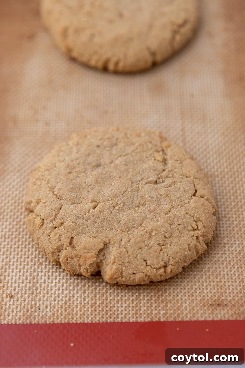 Irresistible Crumbl Raspberry Cheesecake Cookies 9 Baked graham cracker cookies cooling on a baking sheet