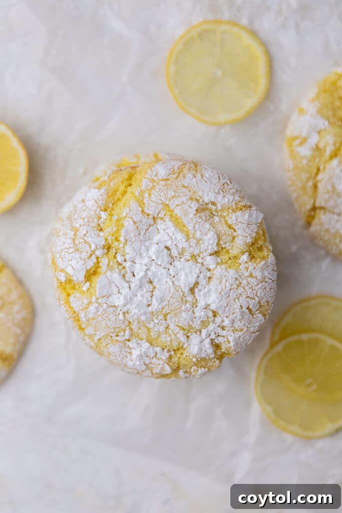 Overhead shot of freshly baked lemon crinkle cookies made with cake mix