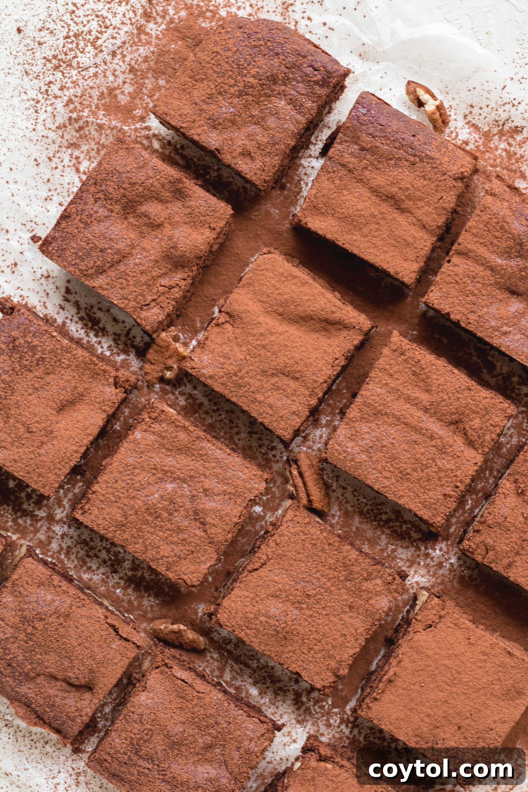 brownie recipe without chocolate chips