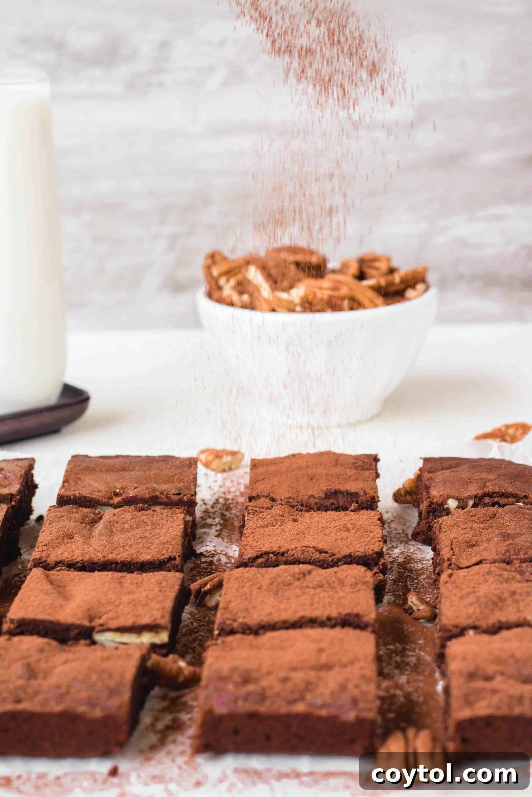 the easiest cocoa powder brownies ever