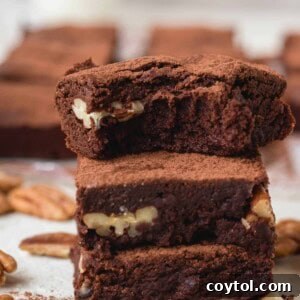 Brownies with cocoa powder super chewy