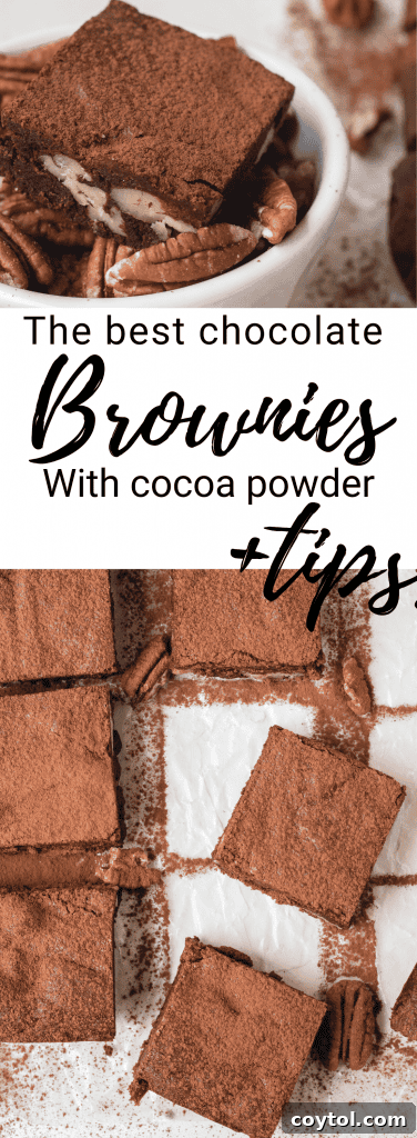 Collage of chewy brownies with cocoa powder