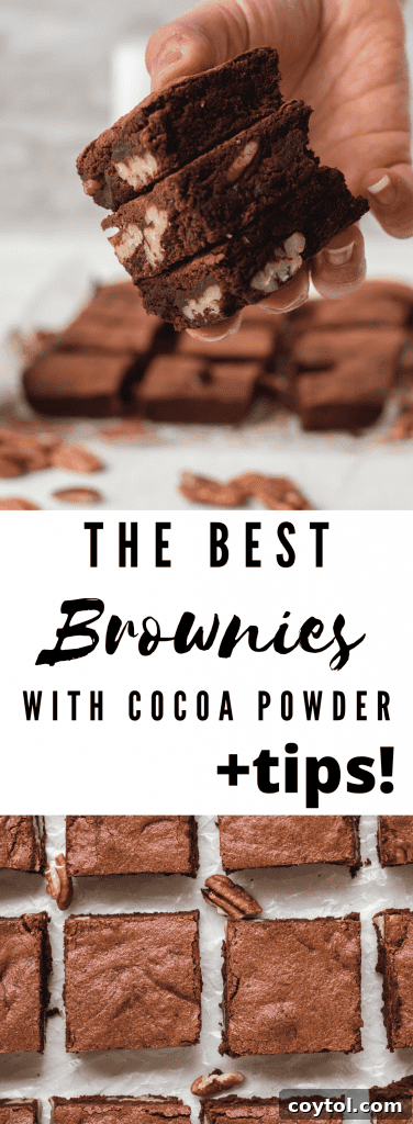 Collage of chewy brownies with cocoa powder
