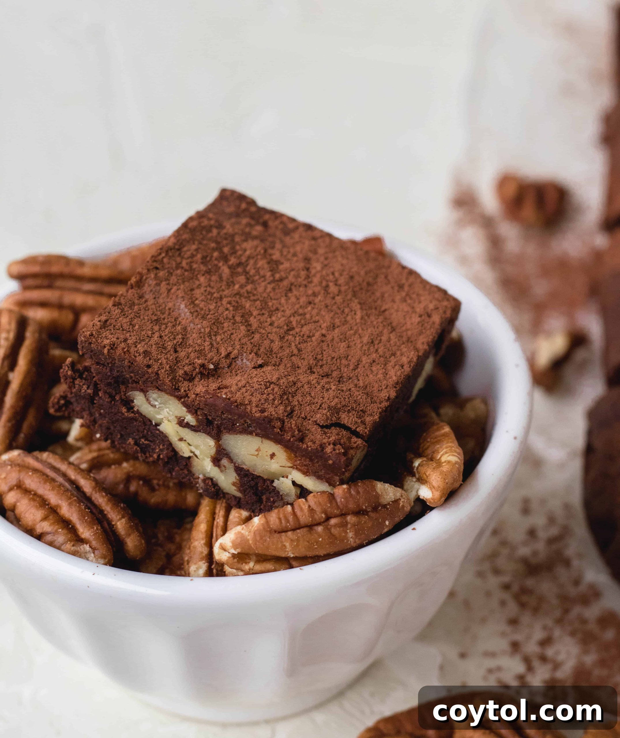 chewy brownies from scratch using cocoa powder