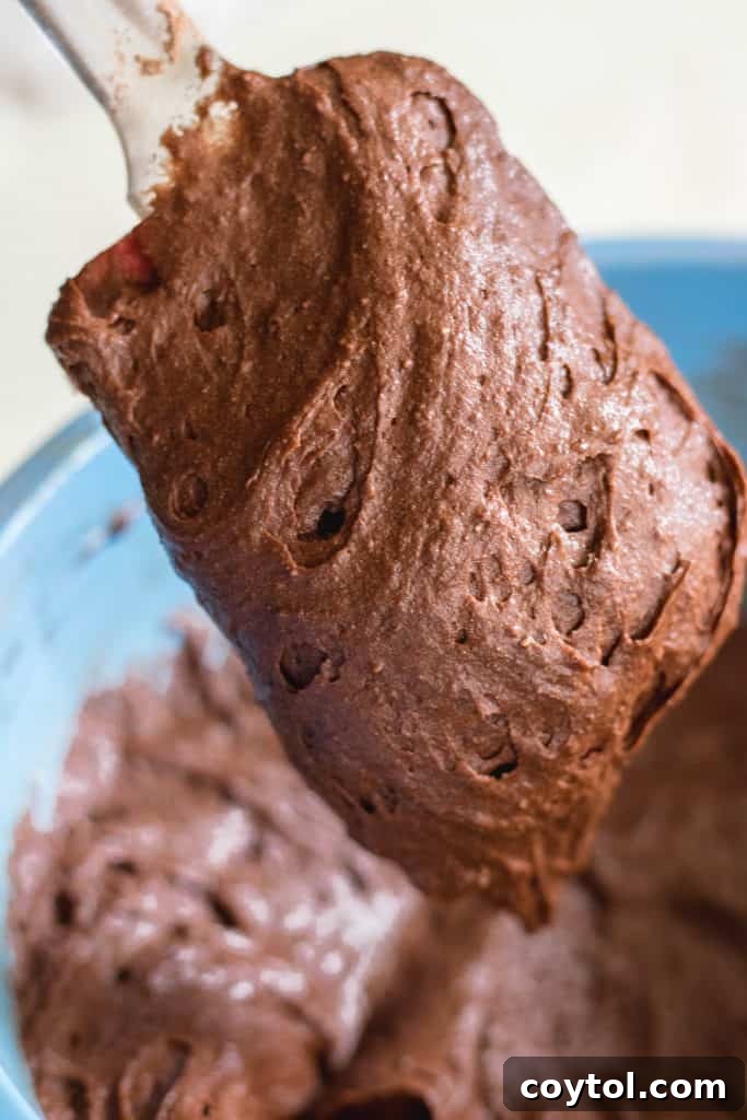 chewy brownies with cocoa powder batter