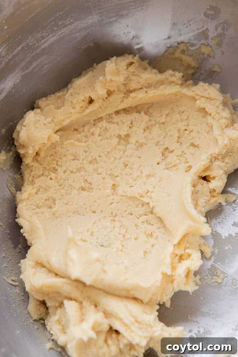 Close-up of buttery sugar cookie dough in a mixing bowl