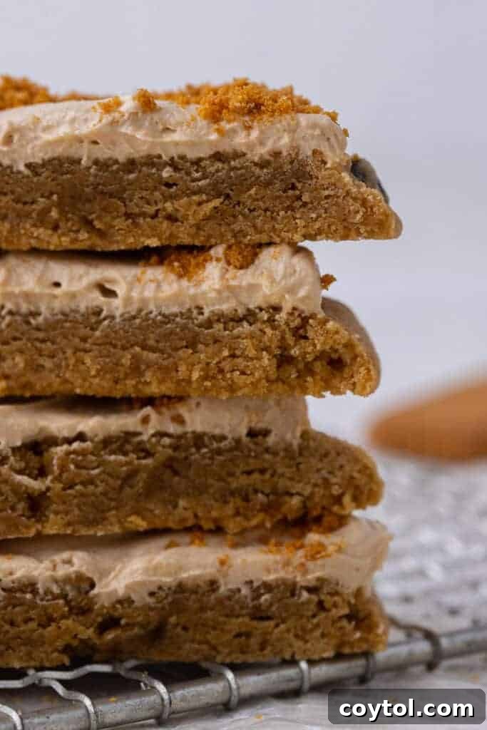 Crumbl's Chilled Cookie Butter Ice Cream Cookies 2 Close up shot of a frosted cookie butter cookie with crumbs on top, showcasing its rich texture and topping.