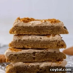 Crumbl's Chilled Cookie Butter Ice Cream Cookies 13 Stack of Crumbl cookie butter ice cream cookies