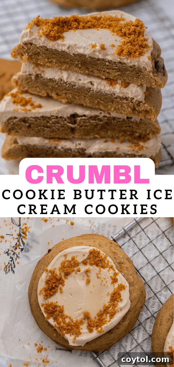 Crumbl's Chilled Cookie Butter Ice Cream Cookies 16 Vertical shot of Crumbl cookie butter ice cream cookies, emphasizing their delicious texture and presentation.