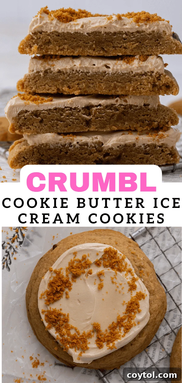Crumbl's Chilled Cookie Butter Ice Cream Cookies 17 An inviting close-up of Crumbl cookie butter ice cream cookies with a sprinkle of Biscoff crumbs.